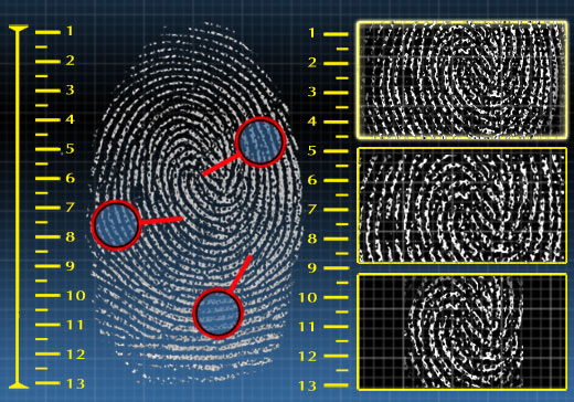 Biometria Dactilar